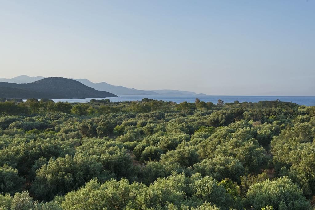 Istron Maisonettes With Private Pool Dış mekan fotoğraf